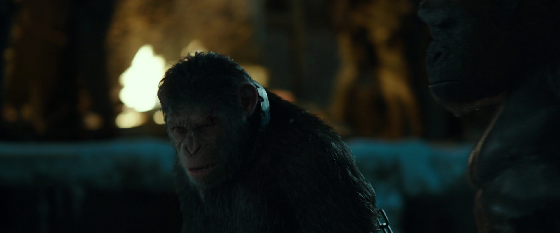 War for the Planet of the Apes (2017) screencap 7539