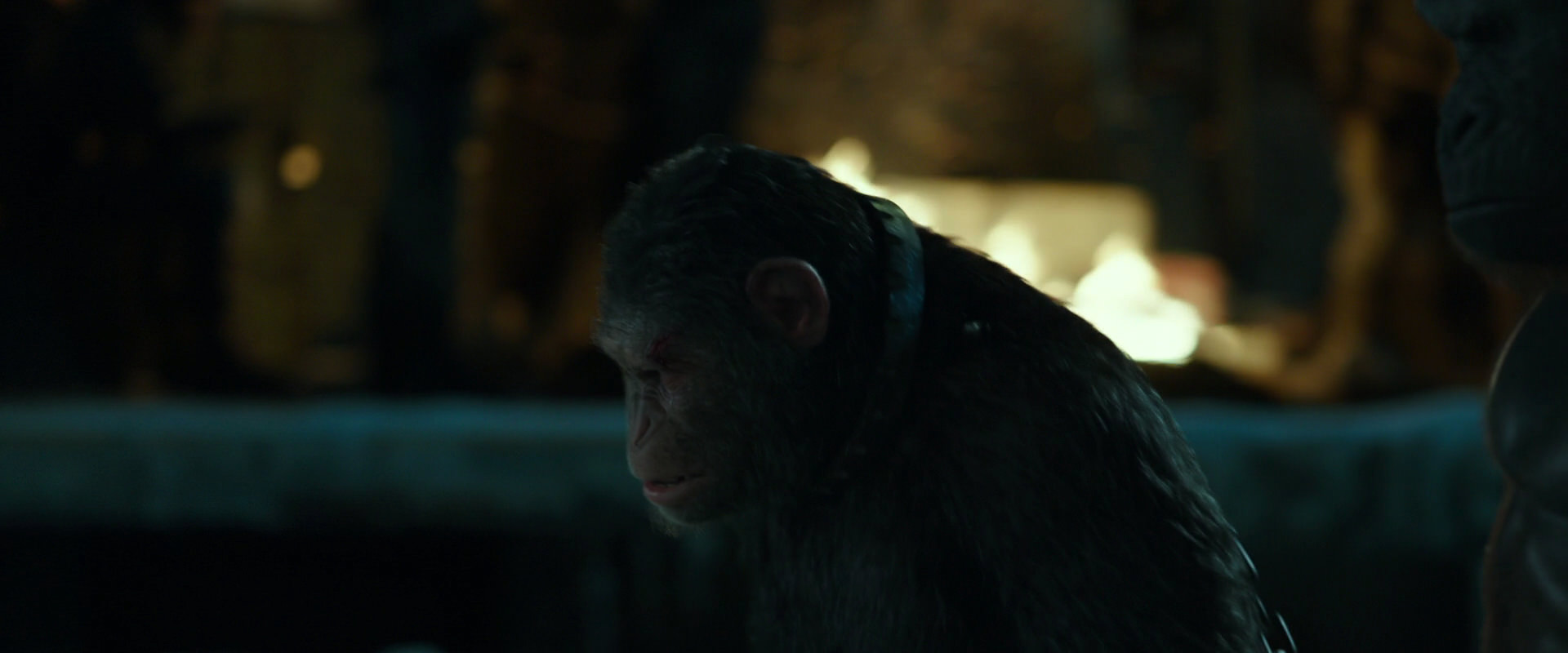 War for the Planet of the Apes (2017) movie still 7540