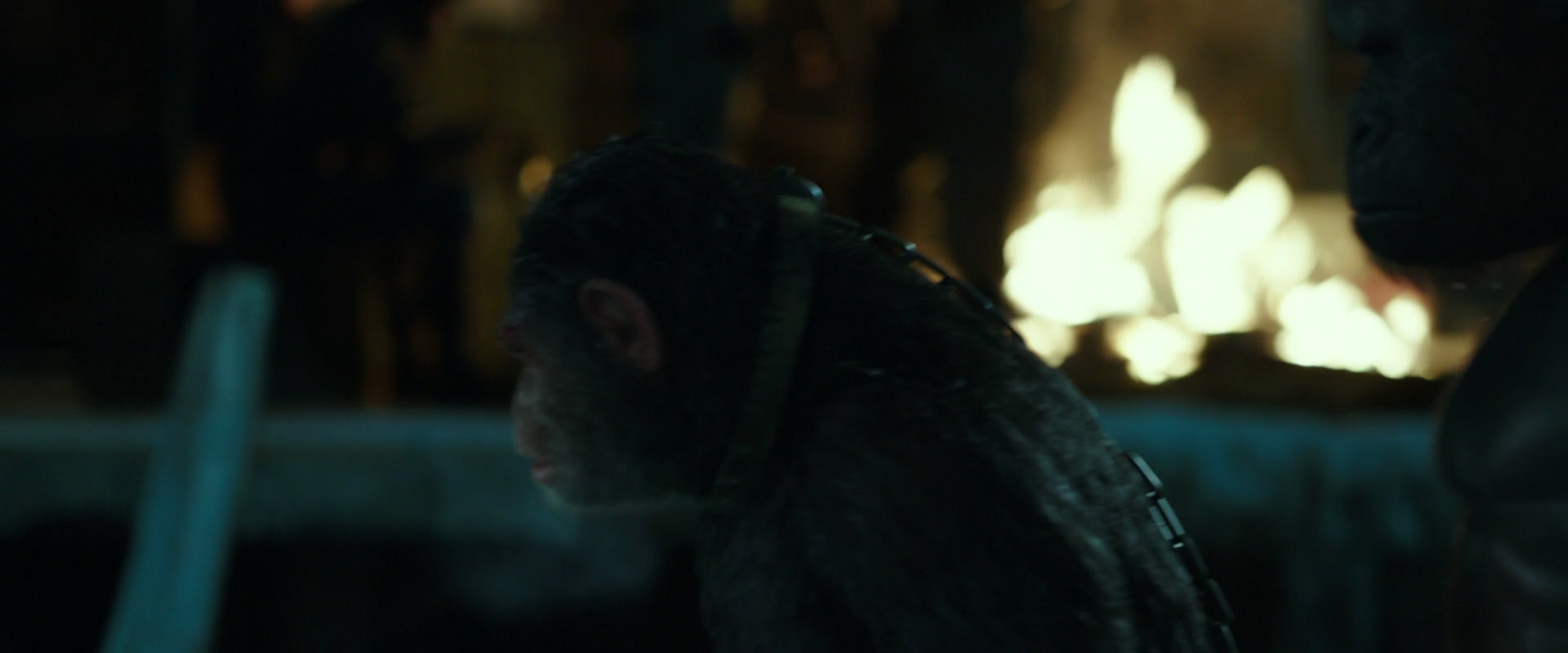 War for the Planet of the Apes (2017) HD screenshot 7541