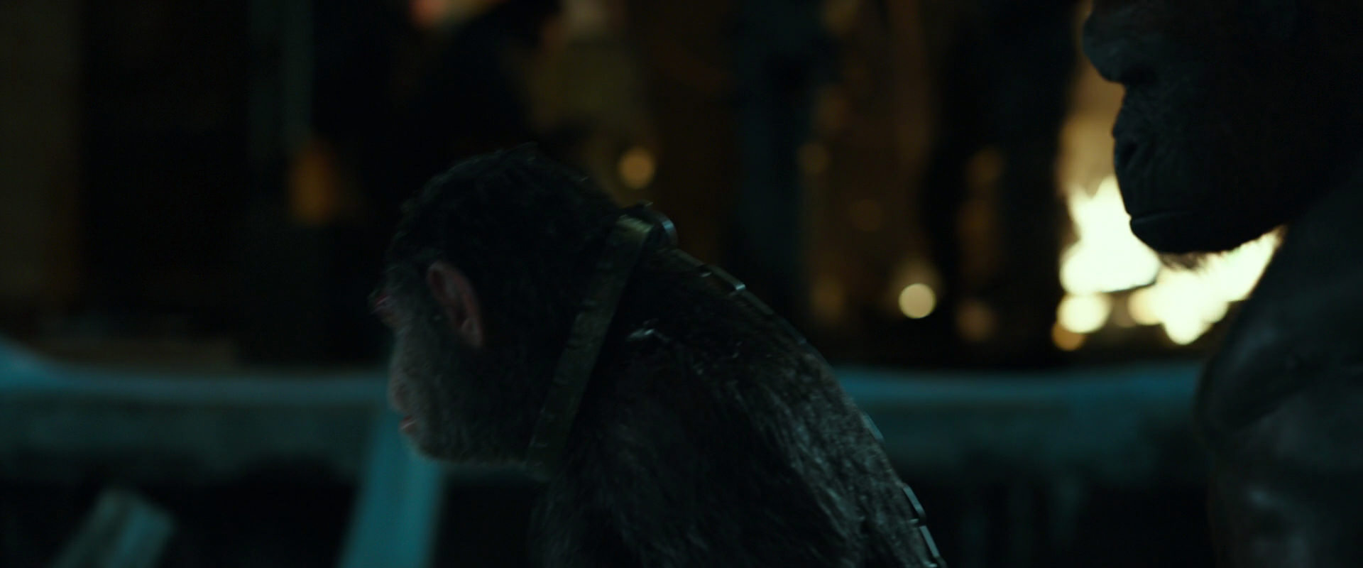 War for the Planet of the Apes (2017) screencap 7542