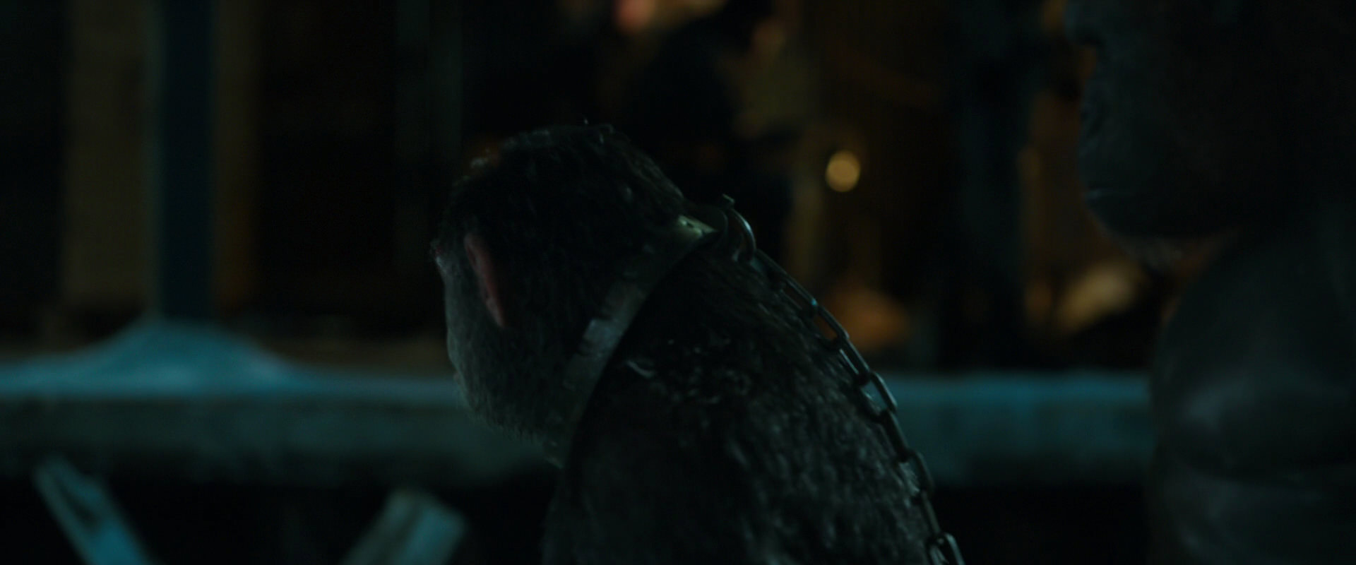 War for the Planet of the Apes (2017) movie still 7543
