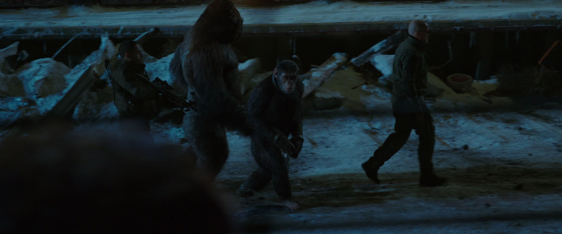 War for the Planet of the Apes (2017) screencap 7545