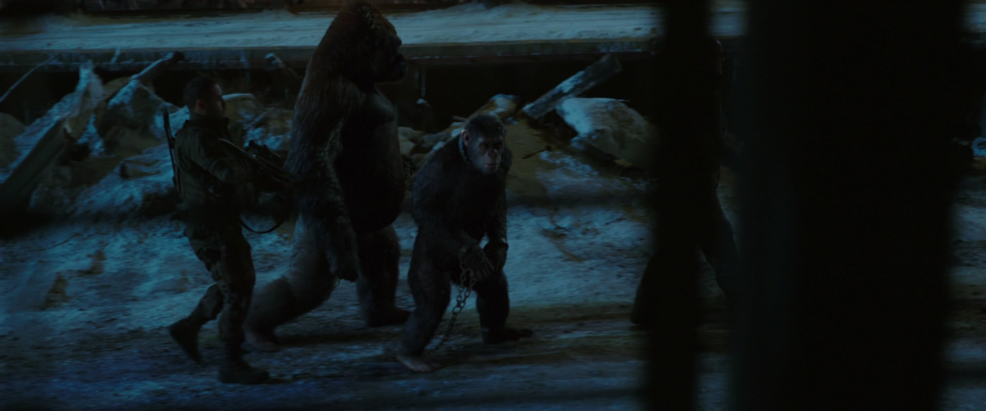 War for the Planet of the Apes (2017) movie still 7546