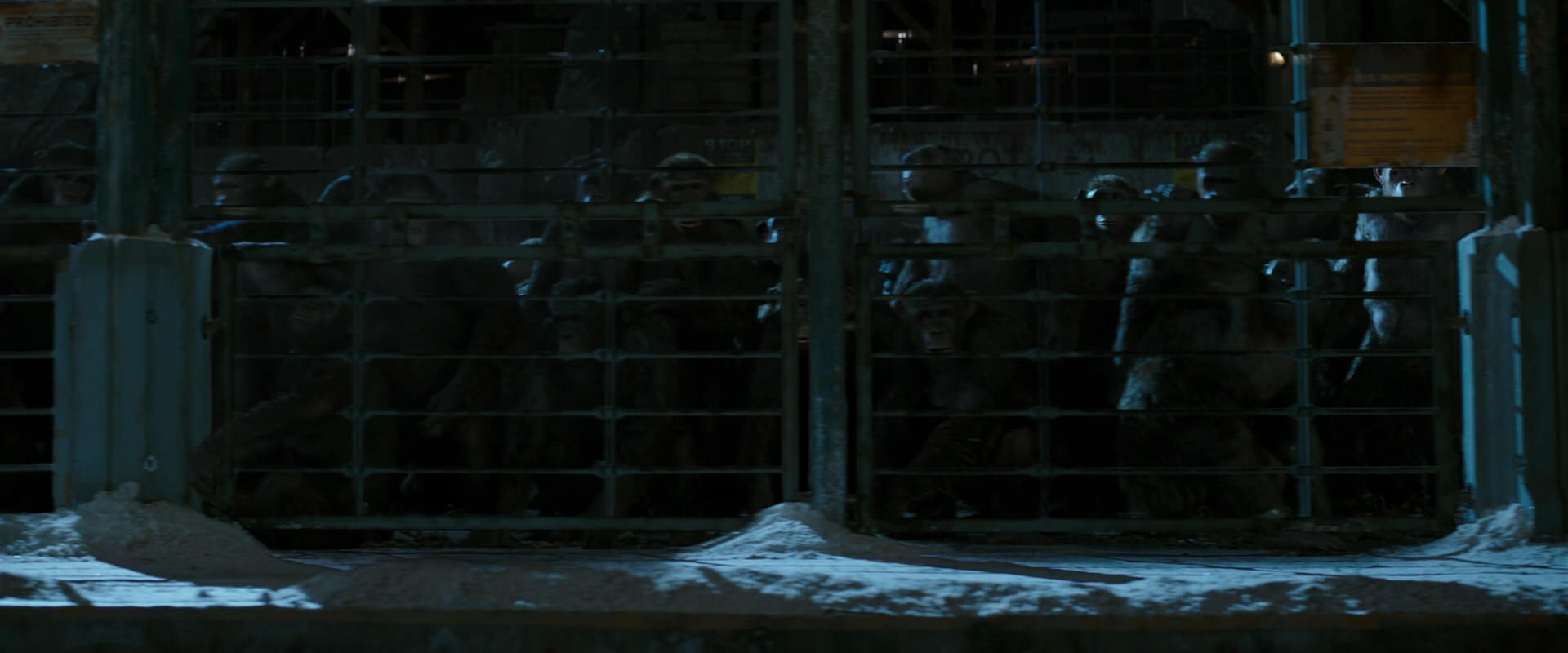 War for the Planet of the Apes (2017) screencap 7548