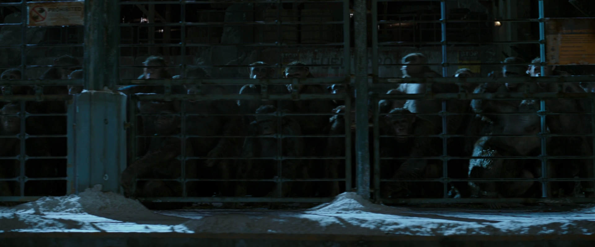 War for the Planet of the Apes (2017) movie still 7549