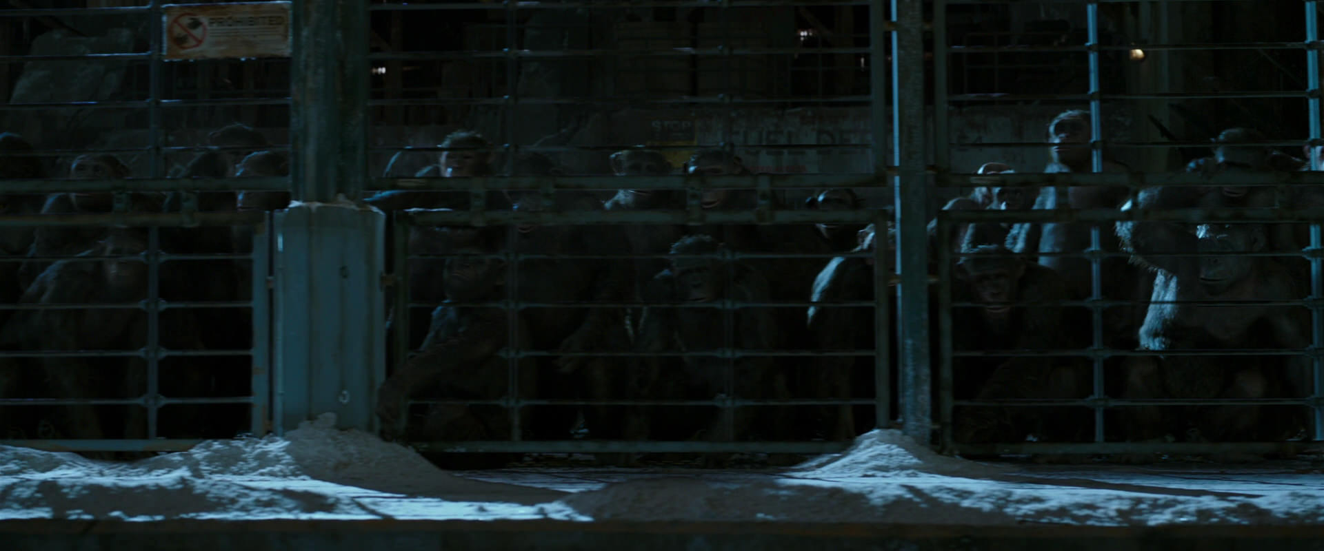 War for the Planet of the Apes (2017) HD screenshot 7550