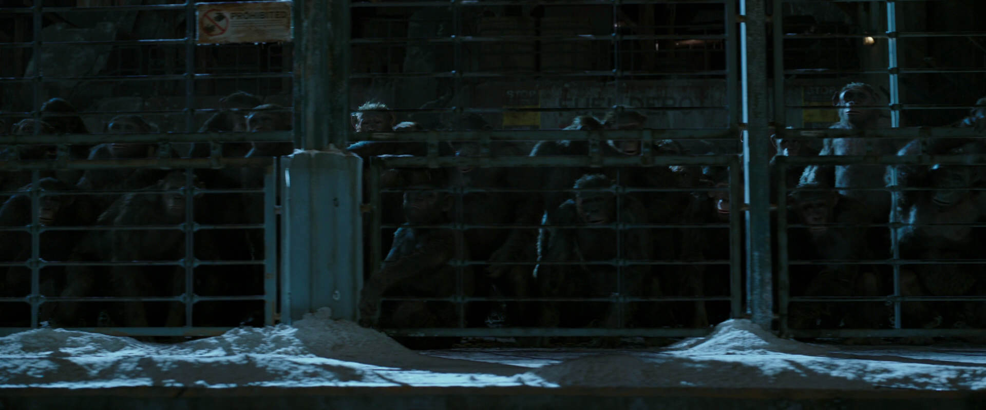 War for the Planet of the Apes (2017) screencap 7551