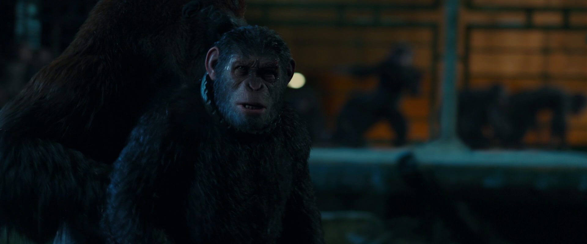 War for the Planet of the Apes (2017) HD screenshot 7553