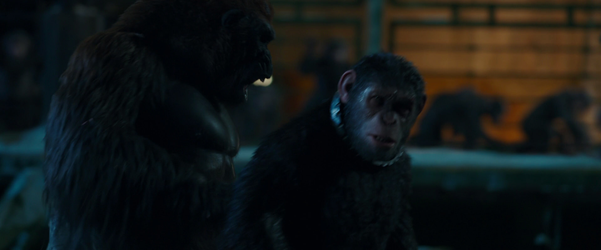 War for the Planet of the Apes (2017) screencap 7554