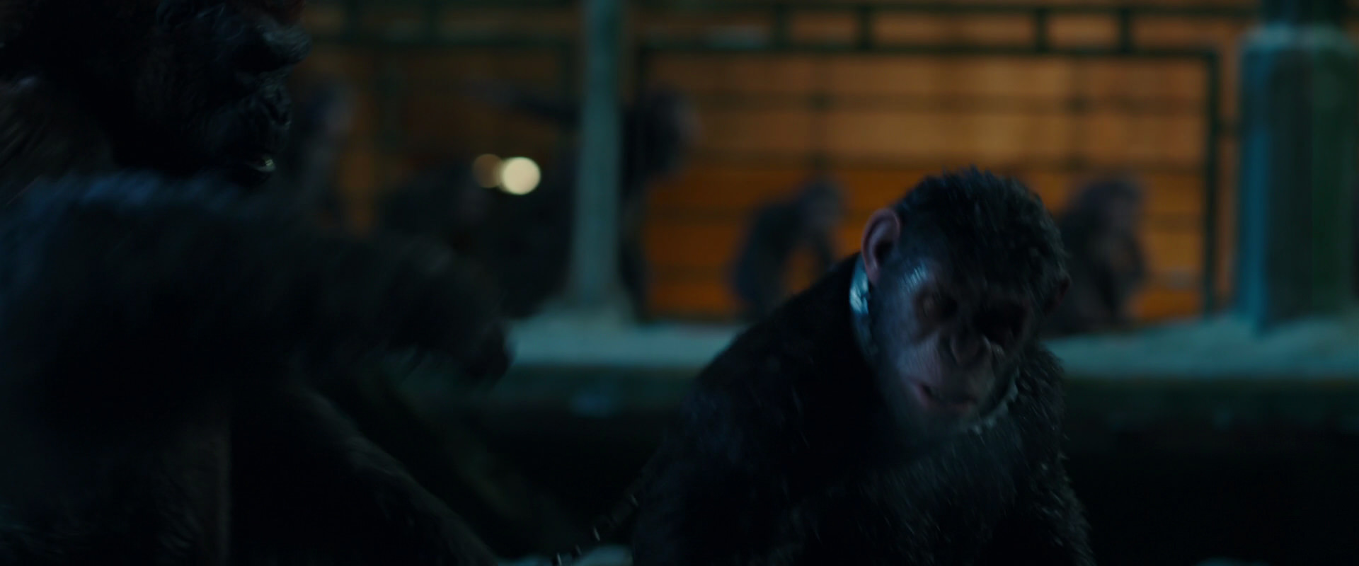 War for the Planet of the Apes (2017) movie still 7555