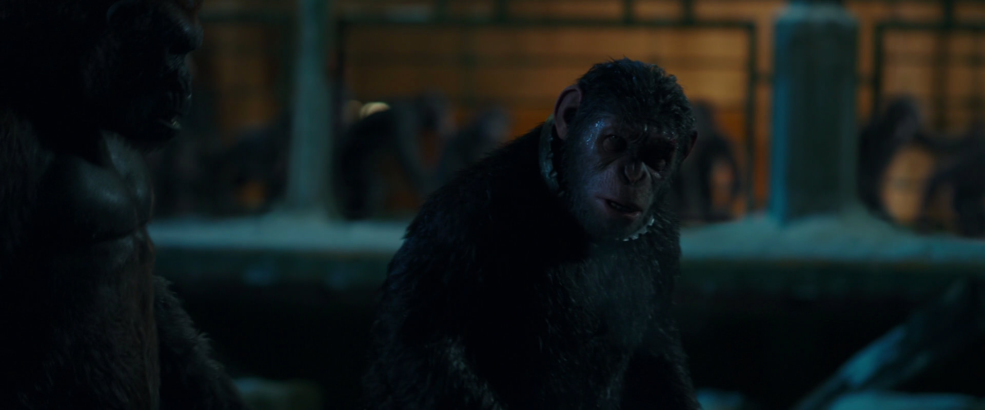 War for the Planet of the Apes (2017) HD screenshot 7556