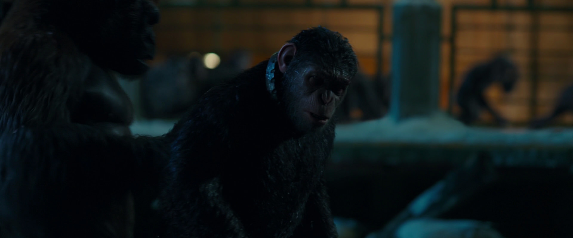 War for the Planet of the Apes (2017) screencap 7557