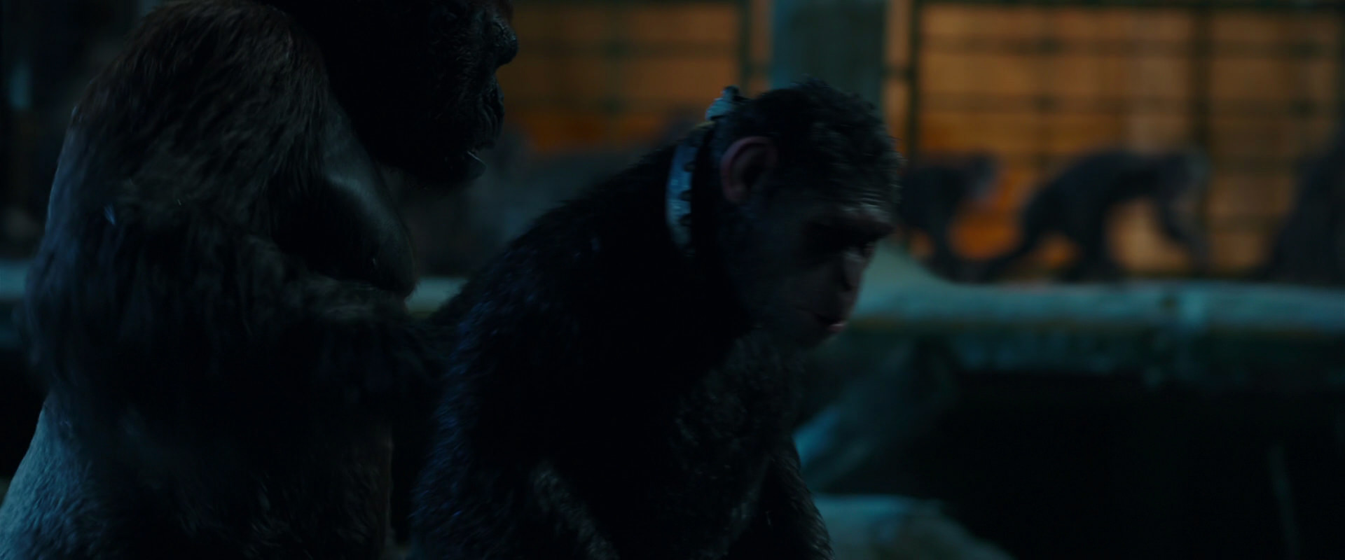 War for the Planet of the Apes (2017) movie still 7558
