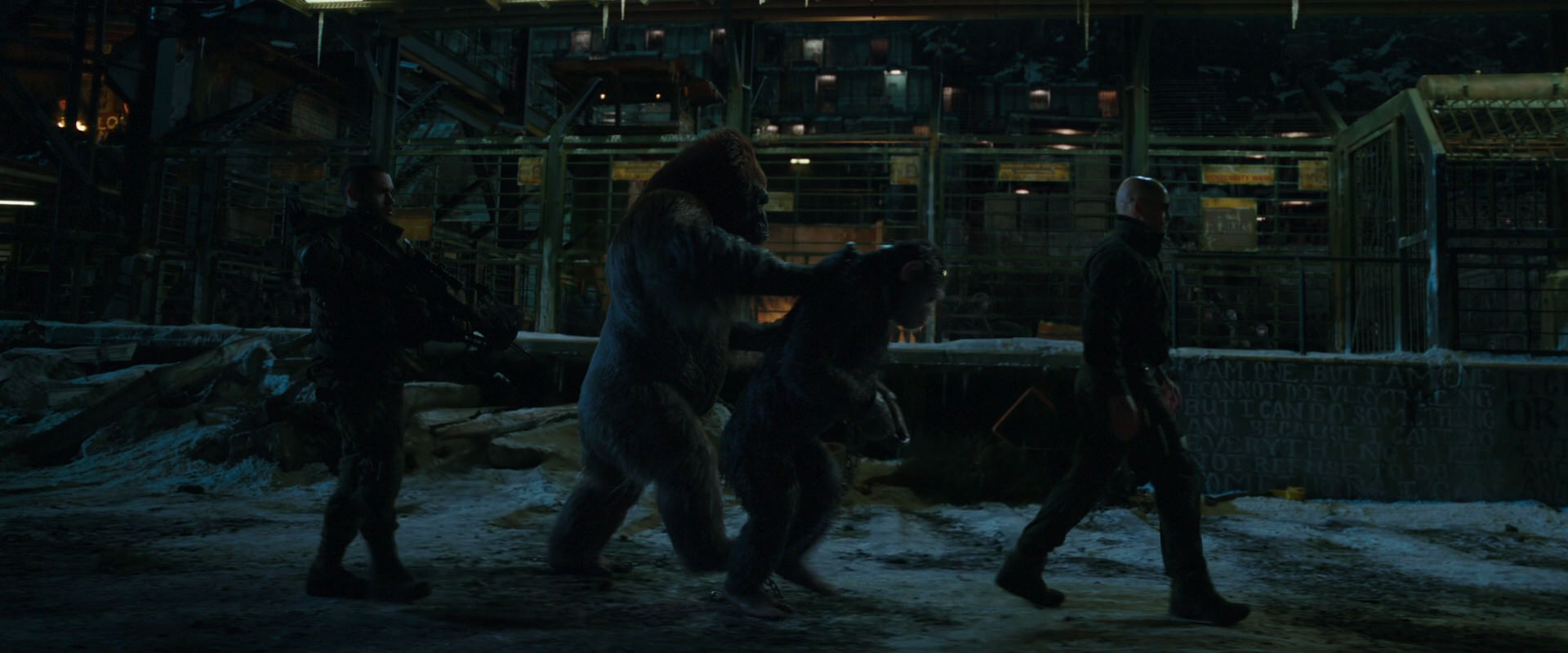 War for the Planet of the Apes (2017) screencap 7560