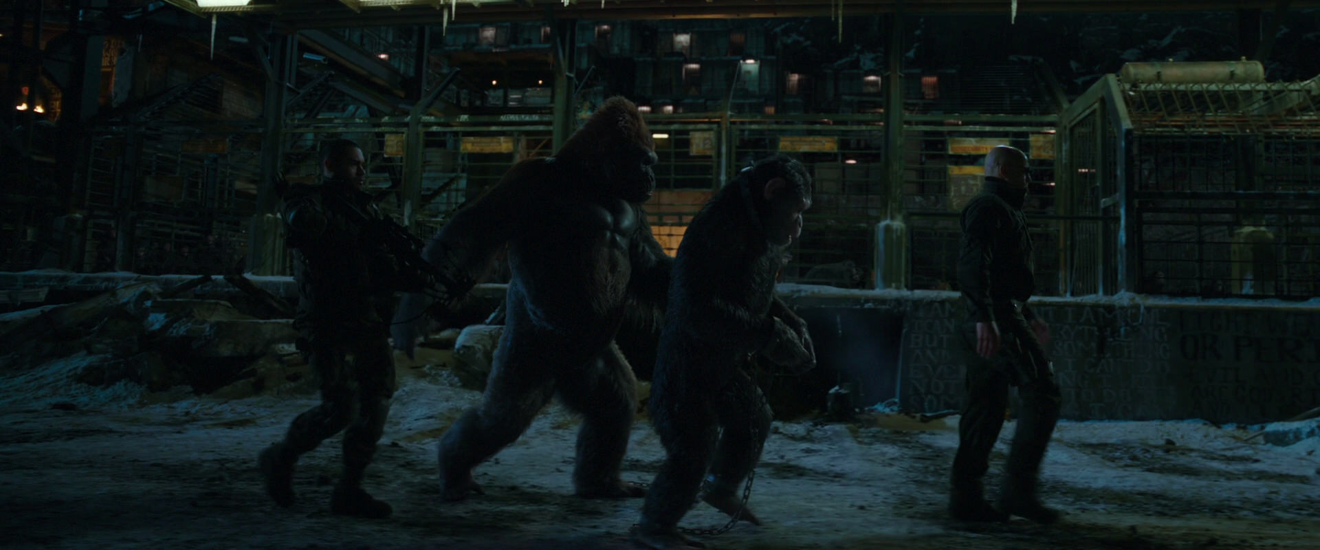 War for the Planet of the Apes (2017) HD screenshot 7562