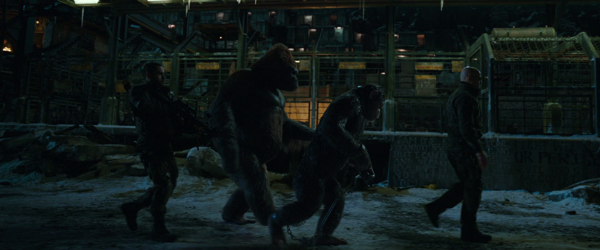 War for the Planet of the Apes (2017) screencap 7563