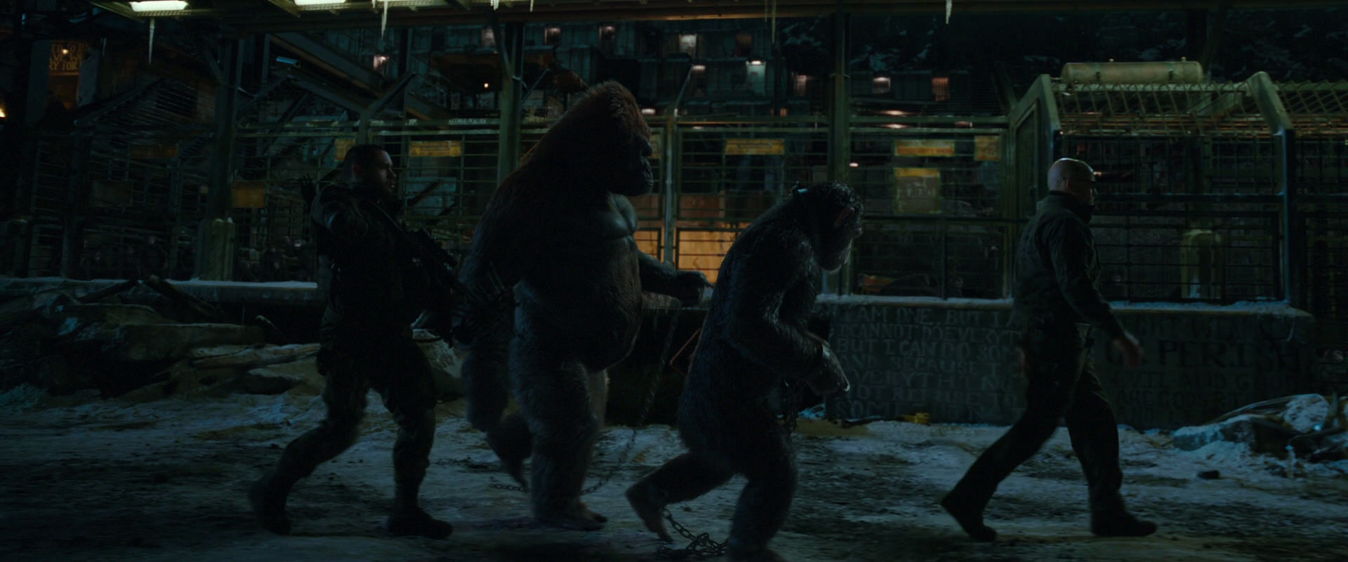 War for the Planet of the Apes (2017) movie still 7564