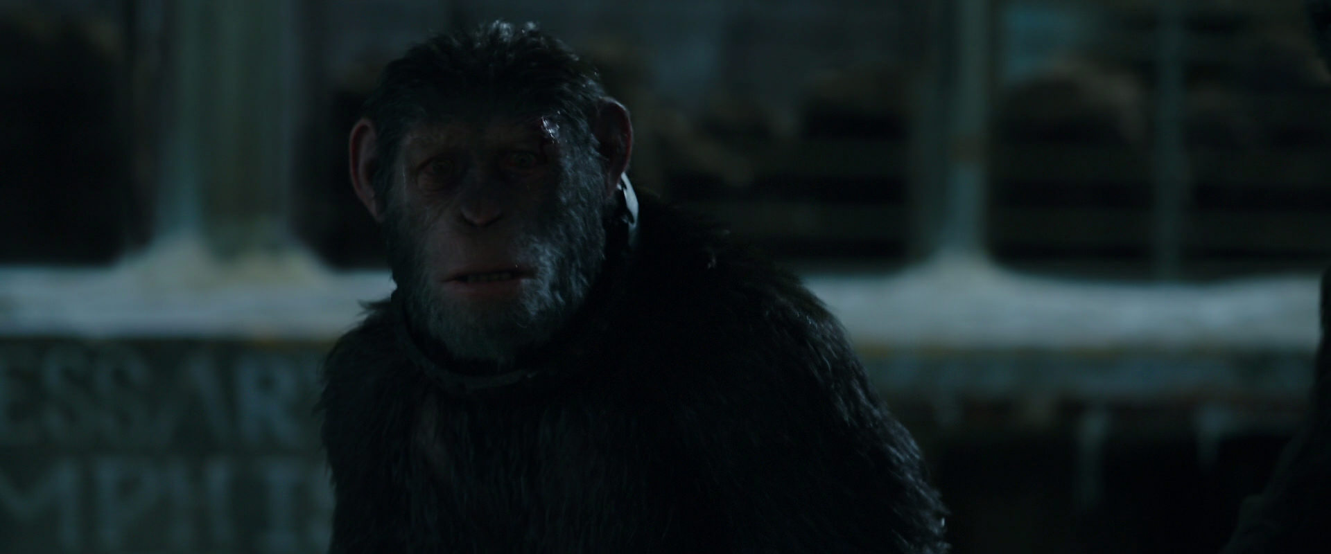 War for the Planet of the Apes (2017) HD screenshot 7568