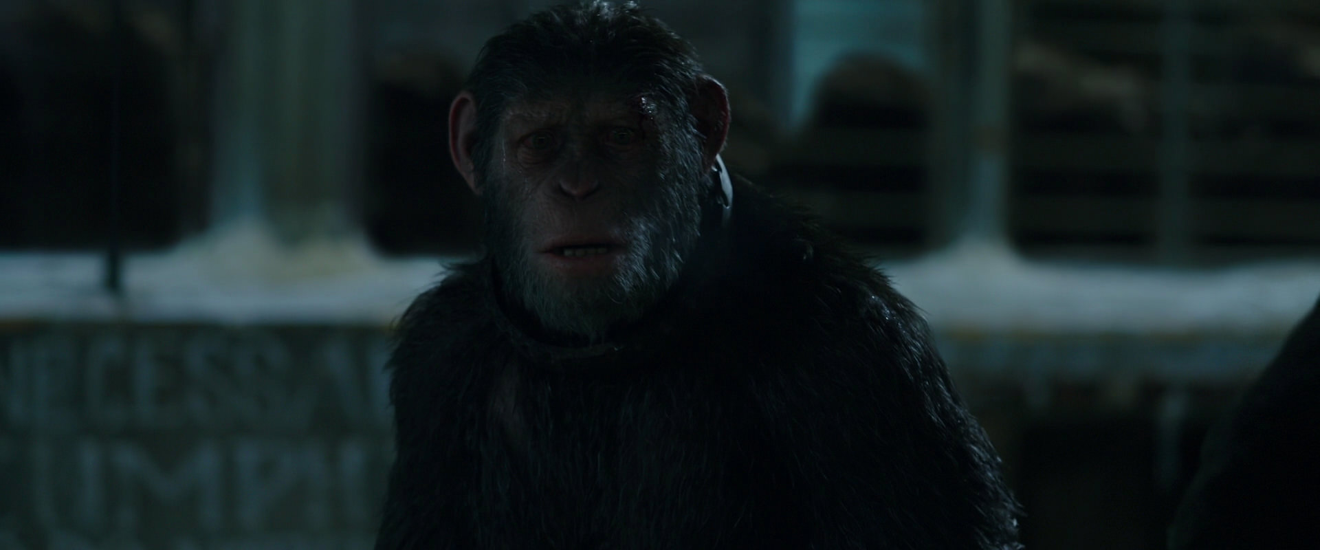 War for the Planet of the Apes (2017) screencap 7569