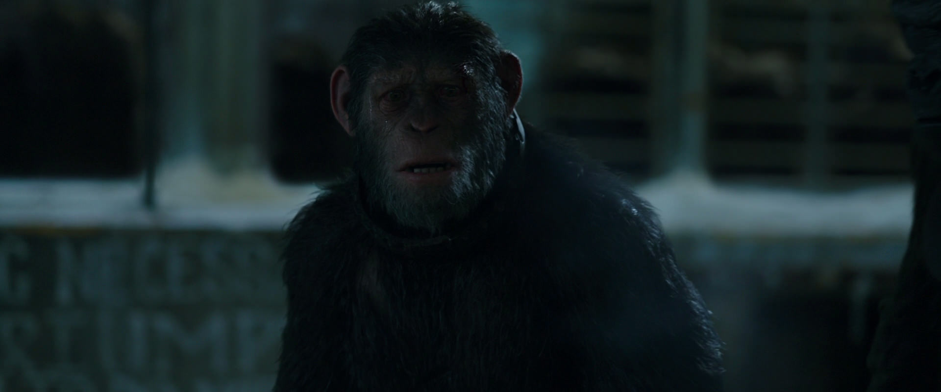 War for the Planet of the Apes (2017) movie still 7570