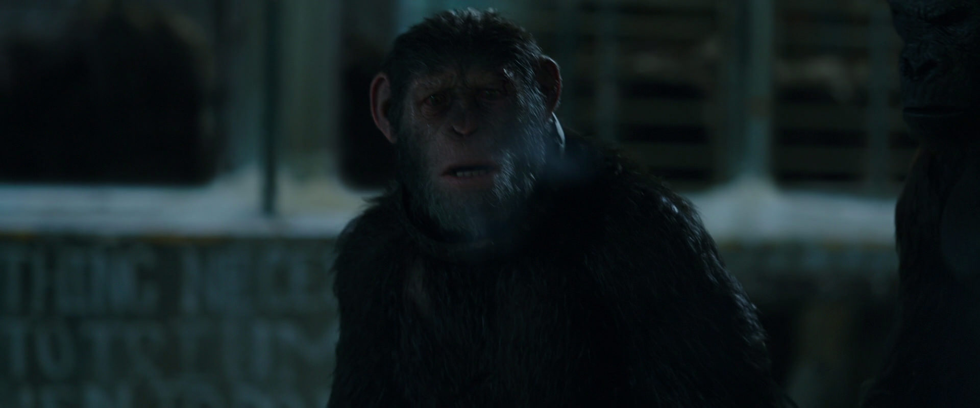 War for the Planet of the Apes (2017) HD screenshot 7571