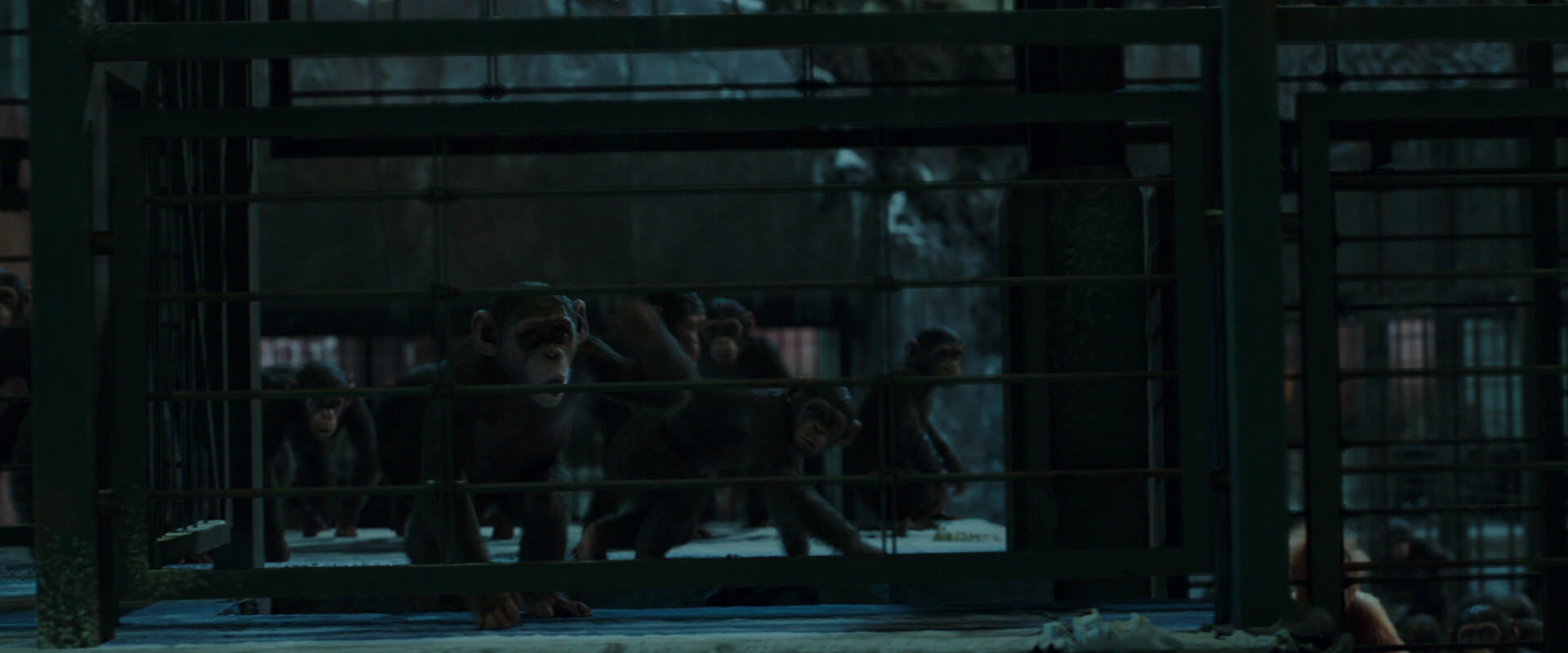 War for the Planet of the Apes (2017) screencap 7572