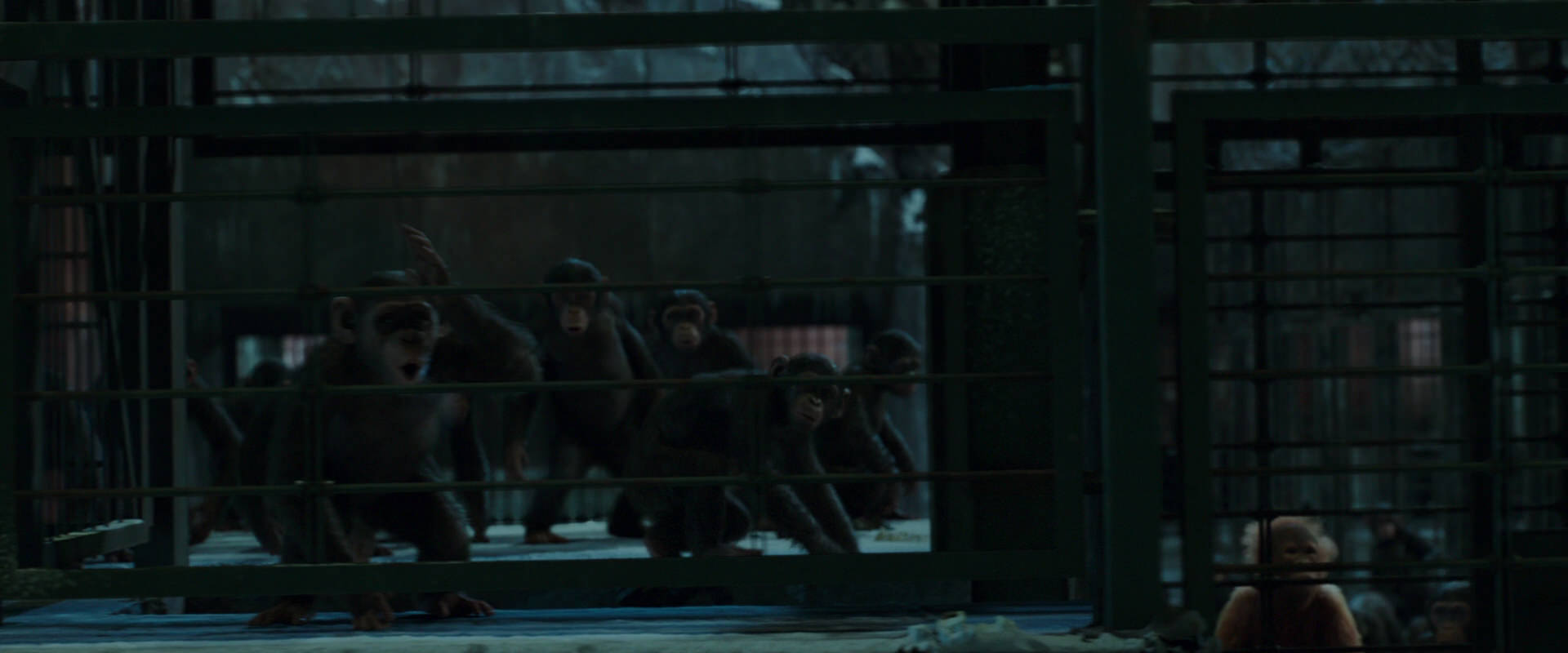 War for the Planet of the Apes (2017) movie still 7573