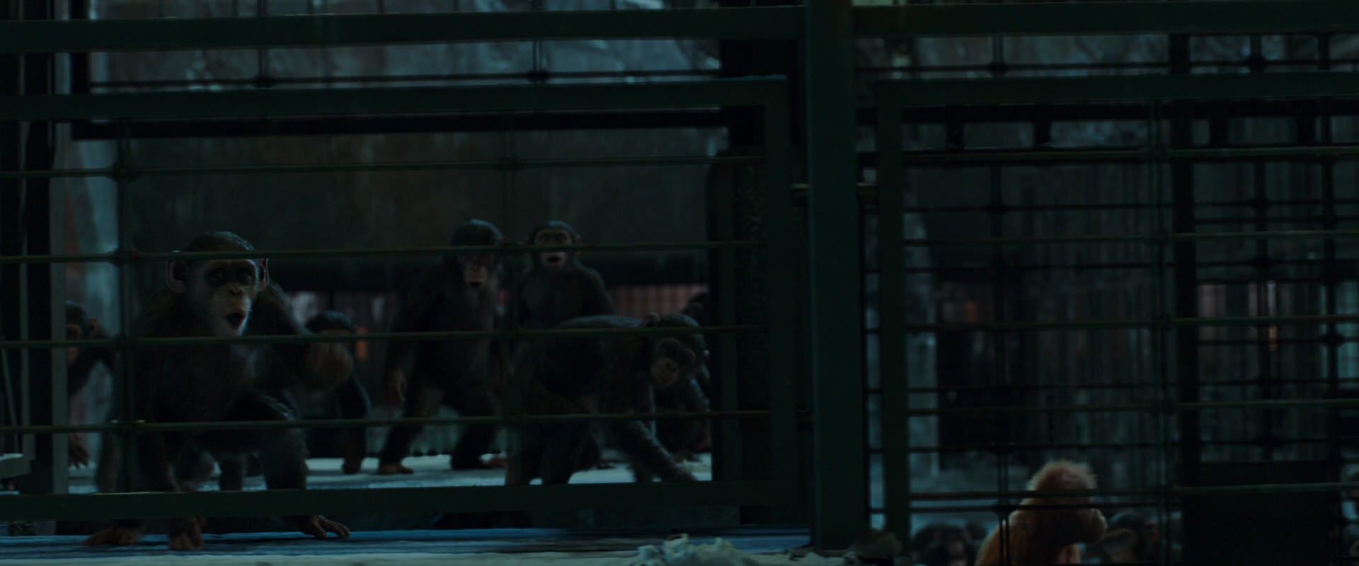 War for the Planet of the Apes (2017) HD screenshot 7574
