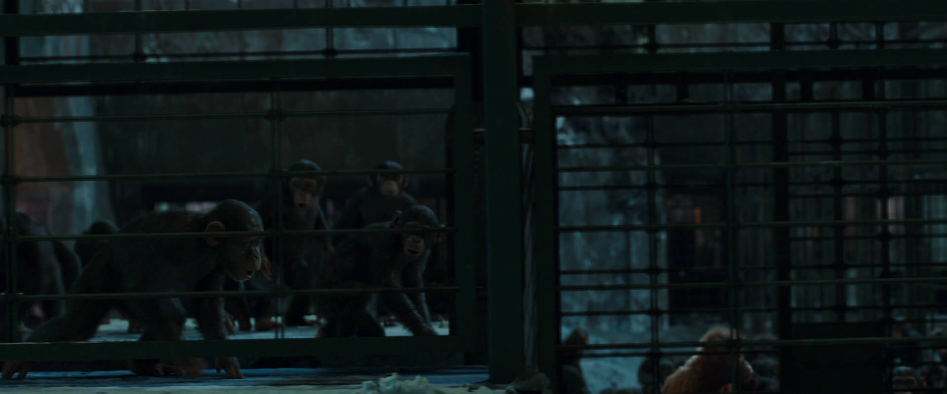 War for the Planet of the Apes (2017) screencap 7575