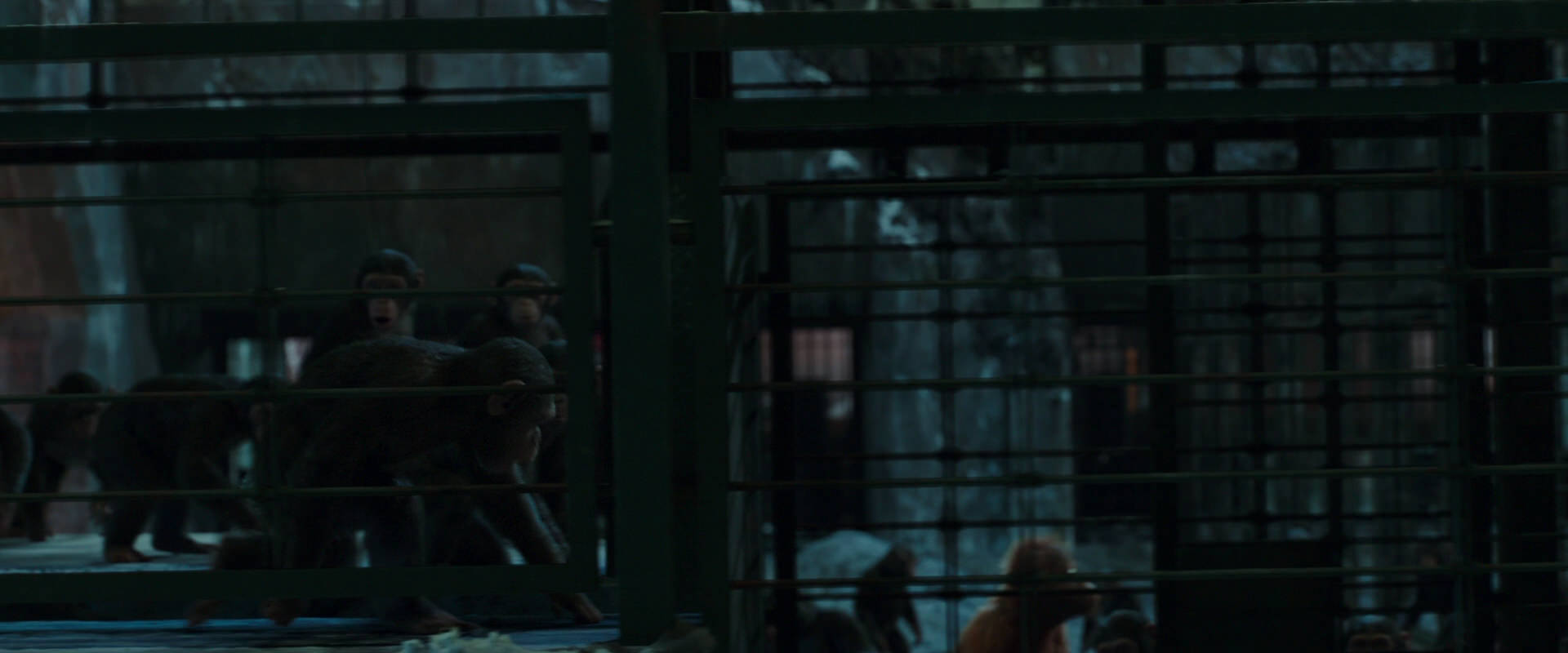War for the Planet of the Apes (2017) movie still 7576