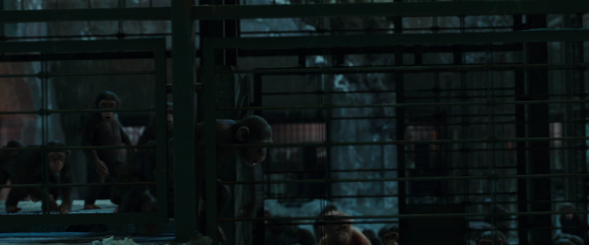 War for the Planet of the Apes (2017) HD screenshot 7577