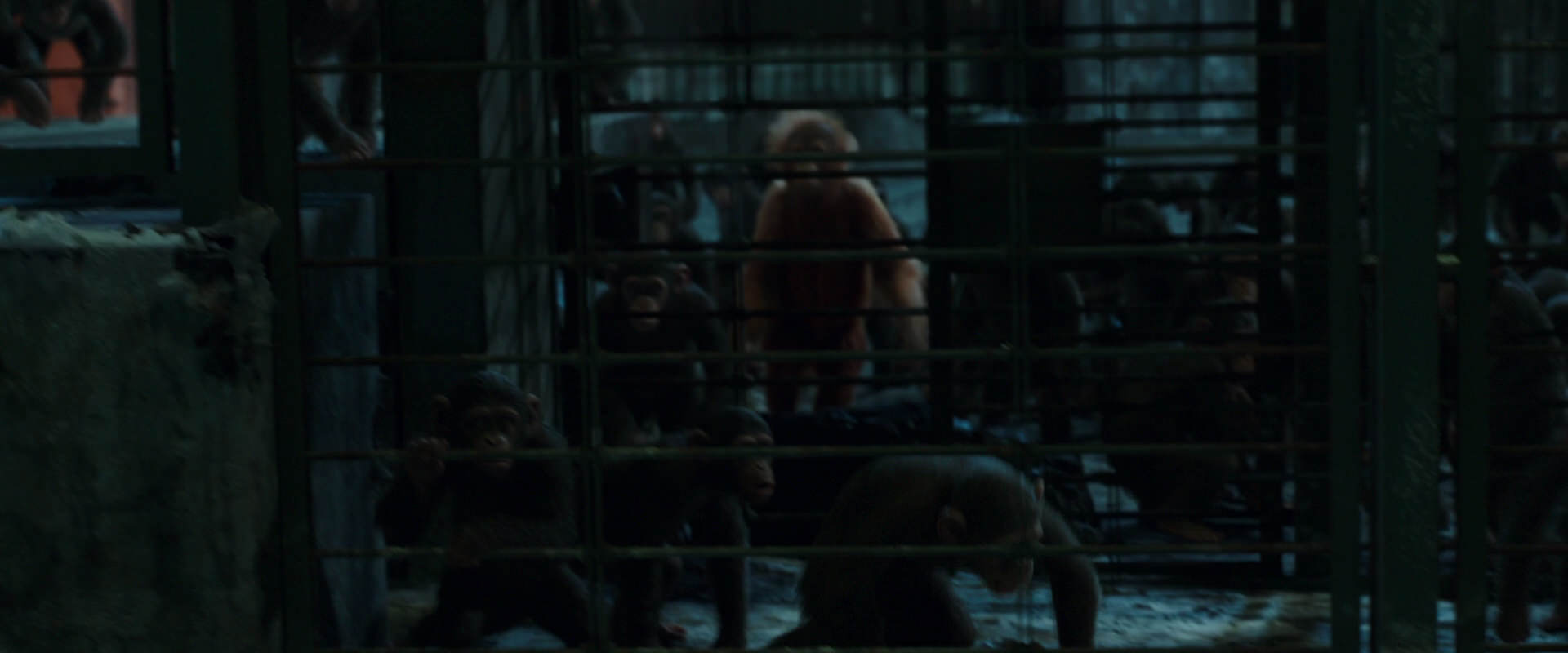 War for the Planet of the Apes (2017) movie still 7579