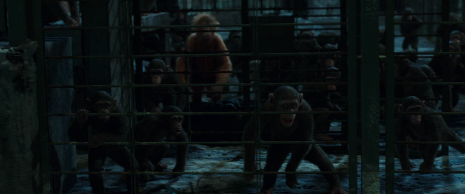 War for the Planet of the Apes (2017) HD screenshot 7580