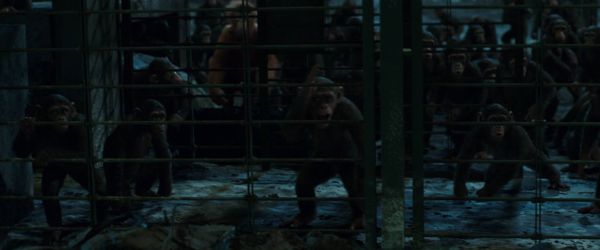 War for the Planet of the Apes (2017) movie still 7582