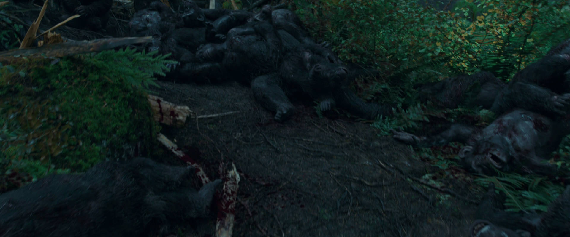War for the Planet of the Apes (2017) movie still 760
