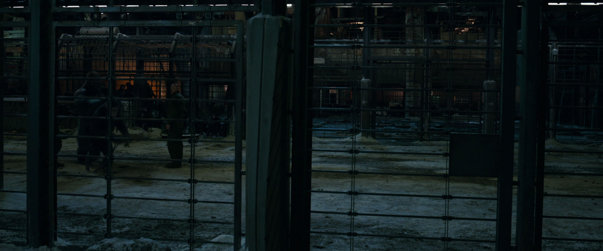 War for the Planet of the Apes (2017) screencap 7602