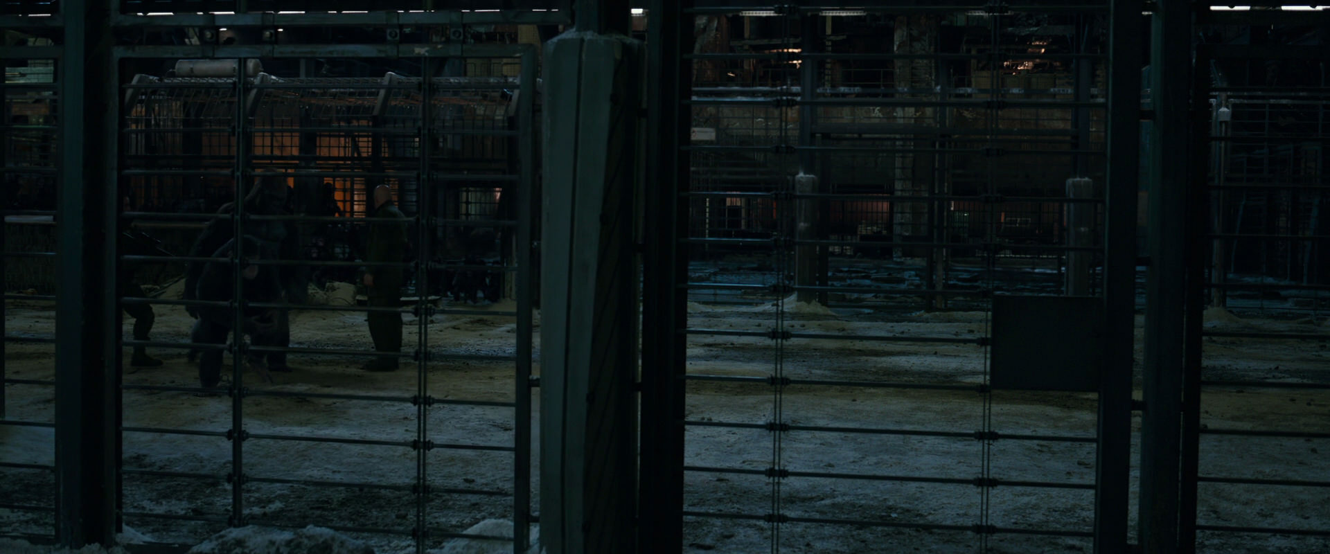 War for the Planet of the Apes (2017) movie still 7603