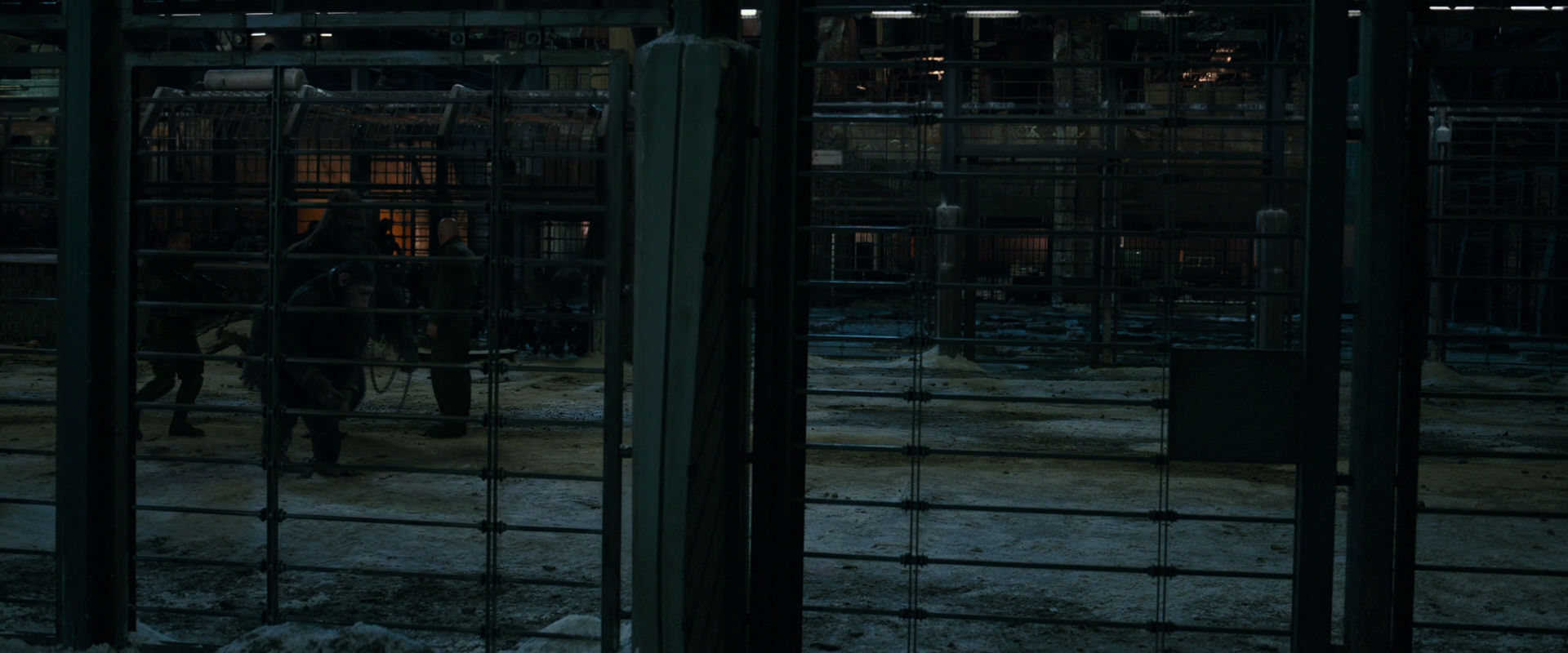 War for the Planet of the Apes (2017) HD screenshot 7604