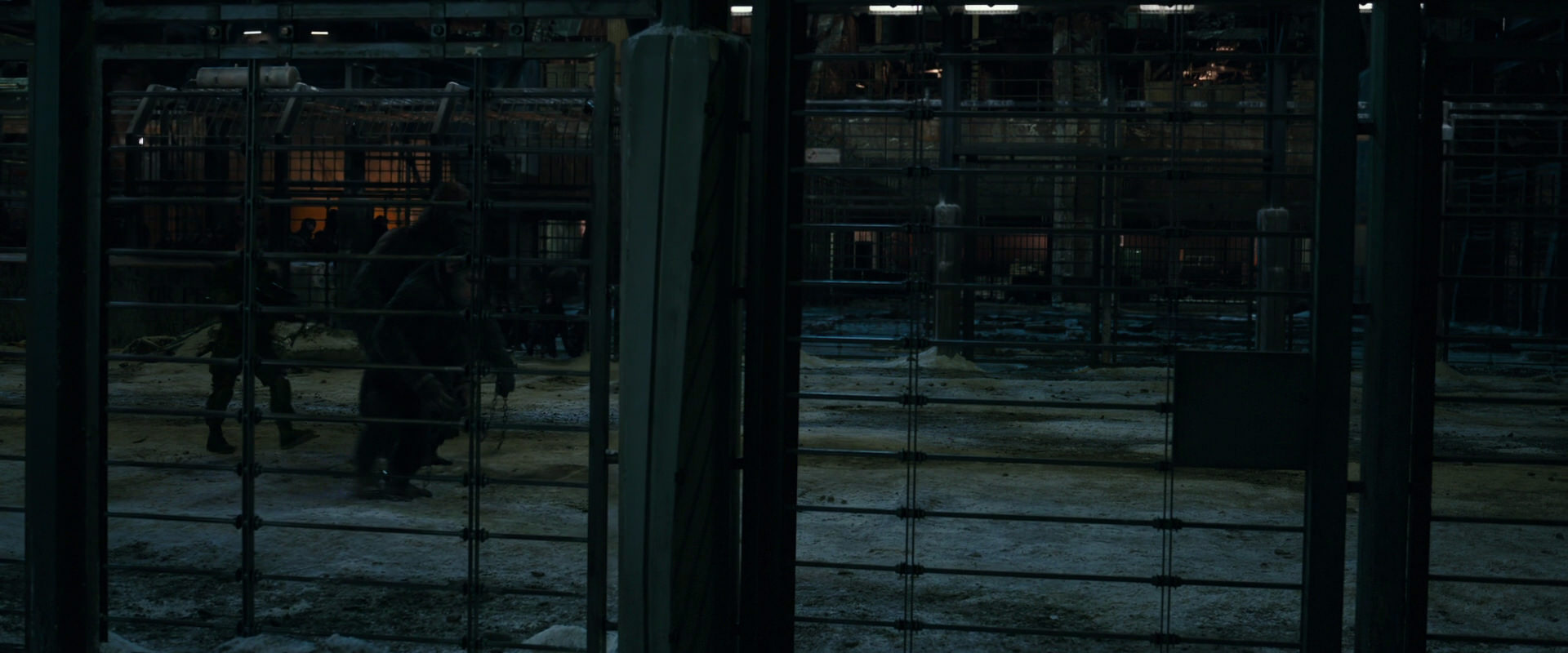 War for the Planet of the Apes (2017) movie still 7606