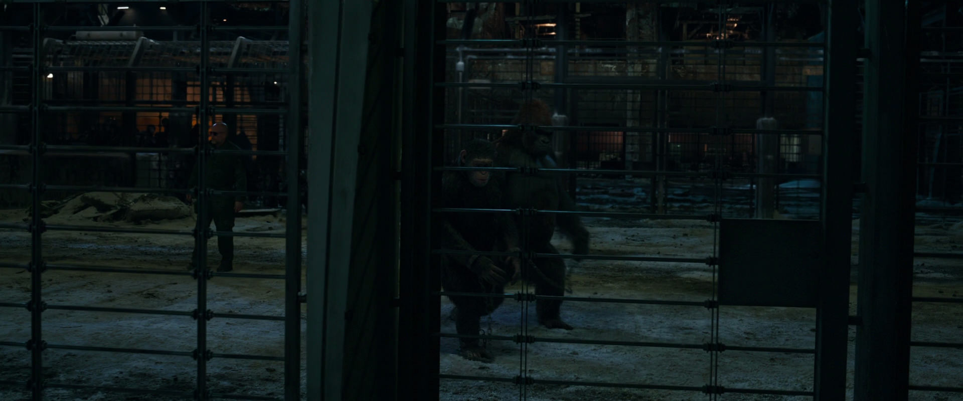 War for the Planet of the Apes (2017) screencap 7611