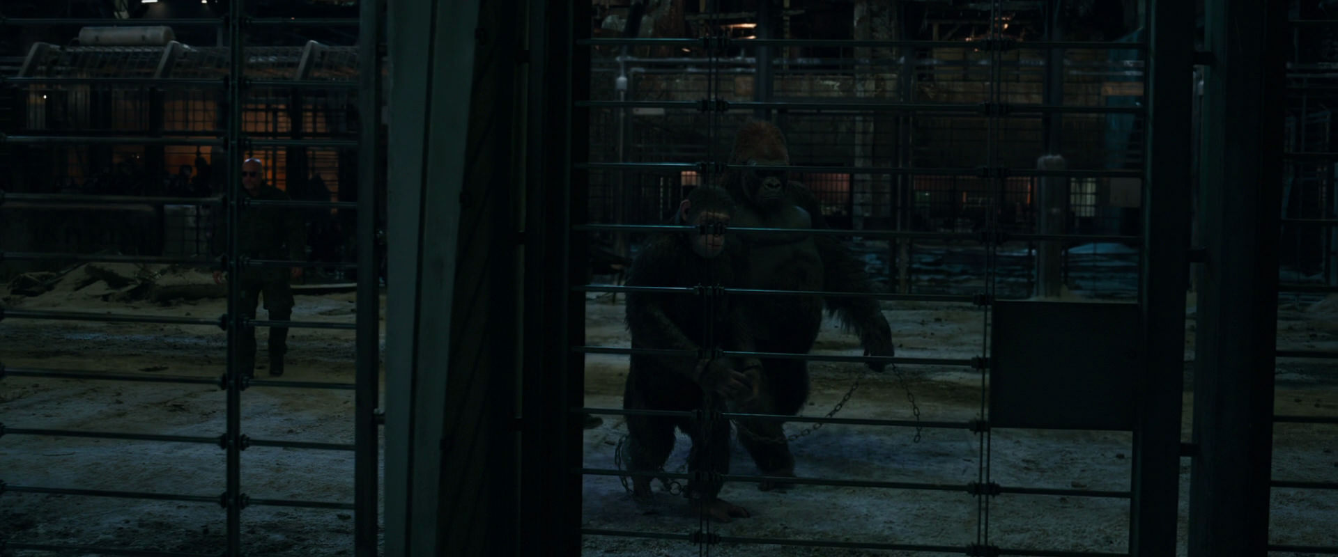 War for the Planet of the Apes (2017) movie still 7612