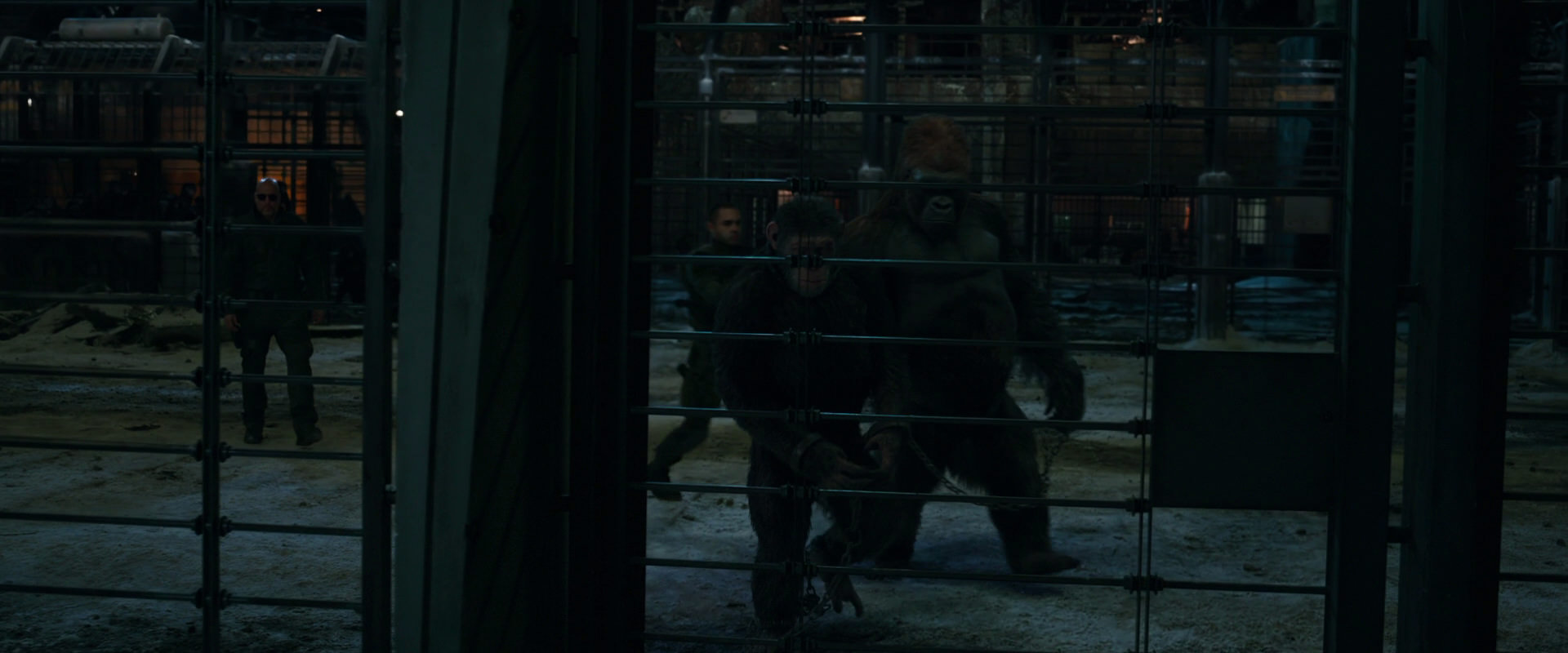 War for the Planet of the Apes (2017) HD screenshot 7613