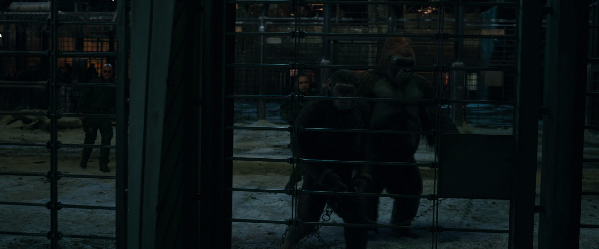 War for the Planet of the Apes (2017) screencap 7614