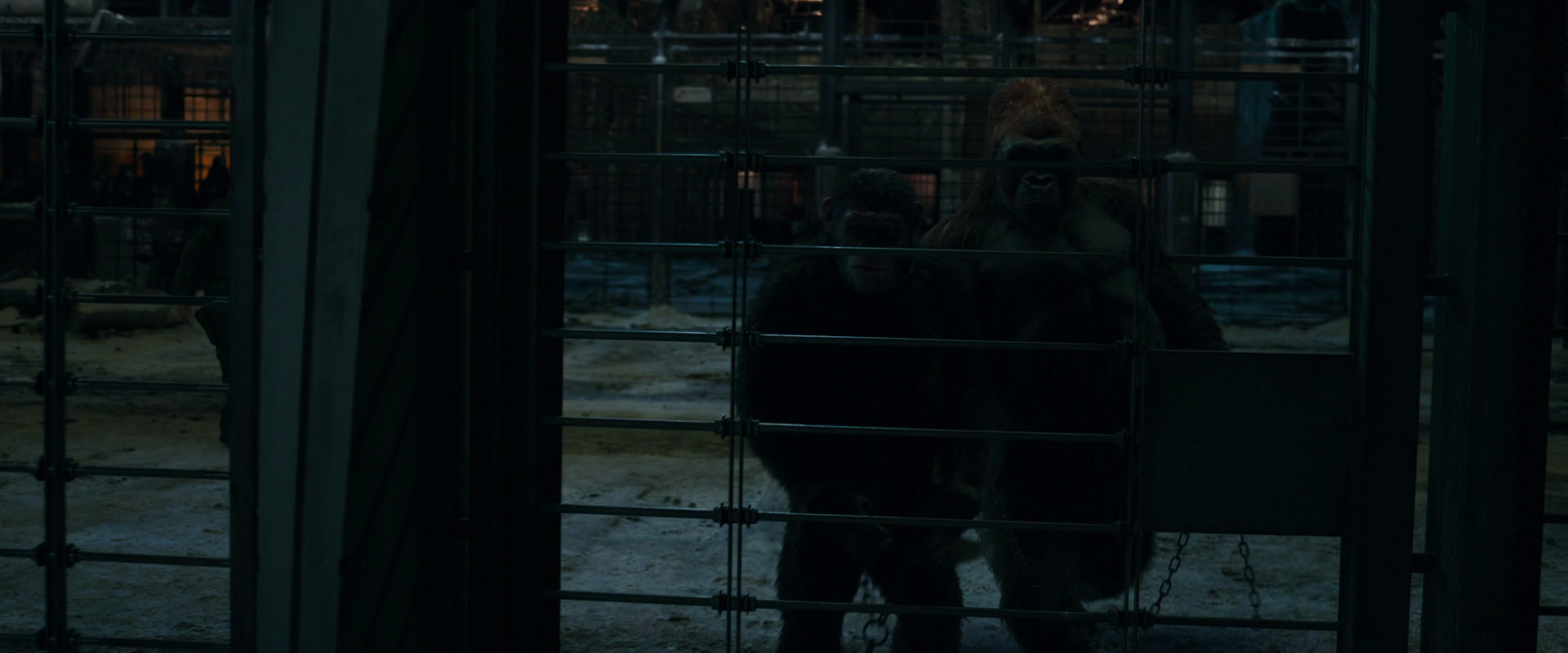 War for the Planet of the Apes (2017) movie still 7615