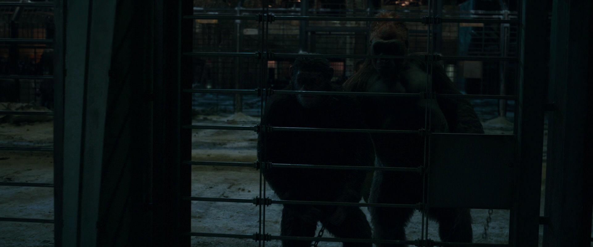 War for the Planet of the Apes (2017) HD screenshot 7616
