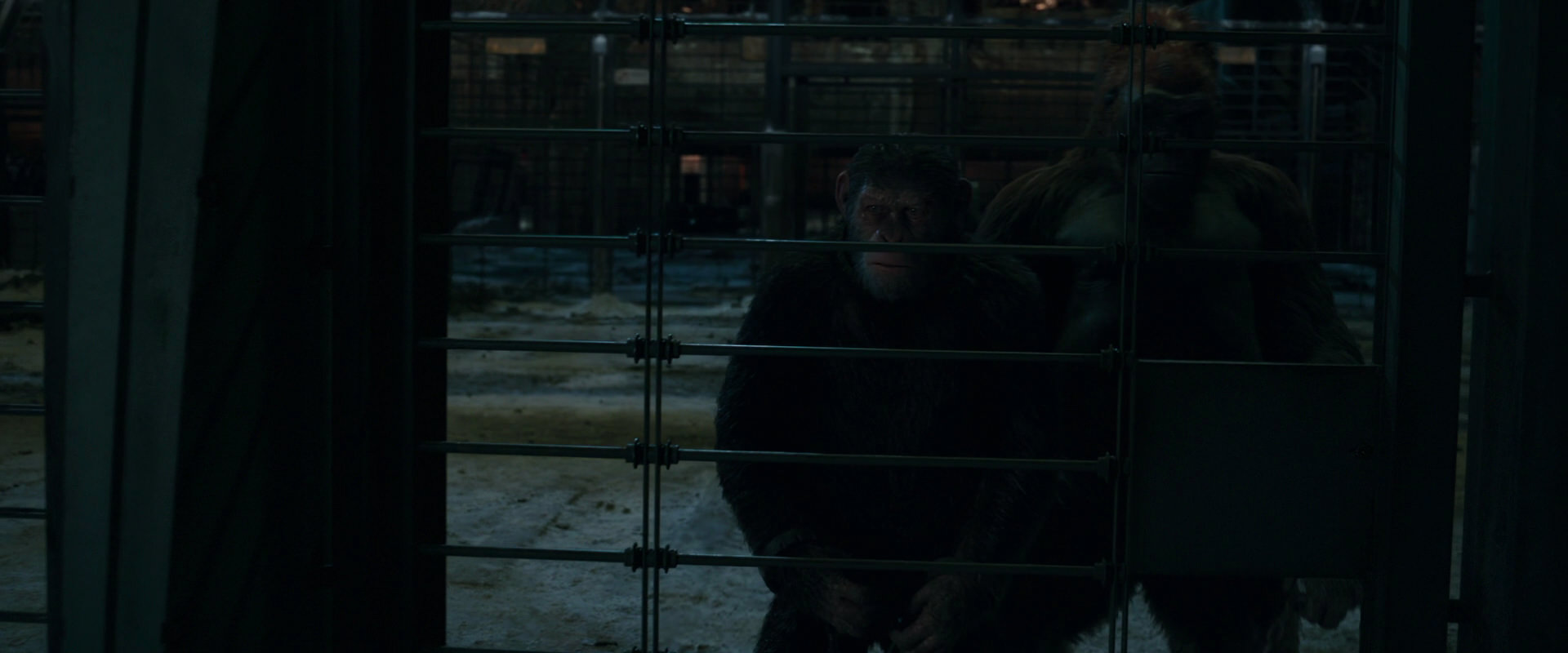 War for the Planet of the Apes (2017) screencap 7617
