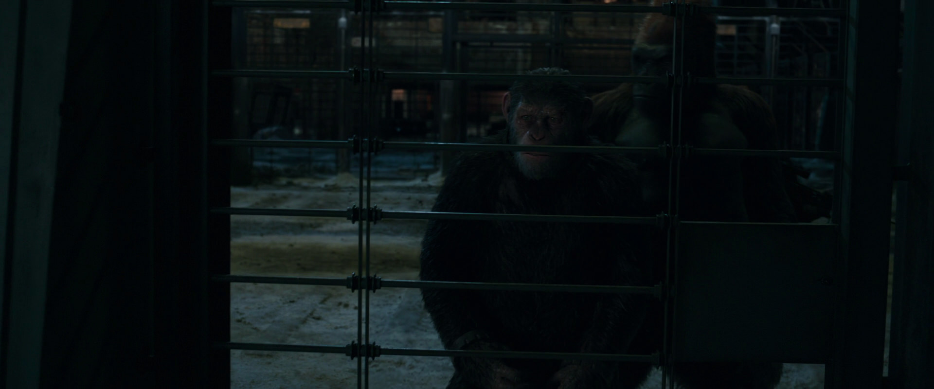 War for the Planet of the Apes (2017) movie still 7618