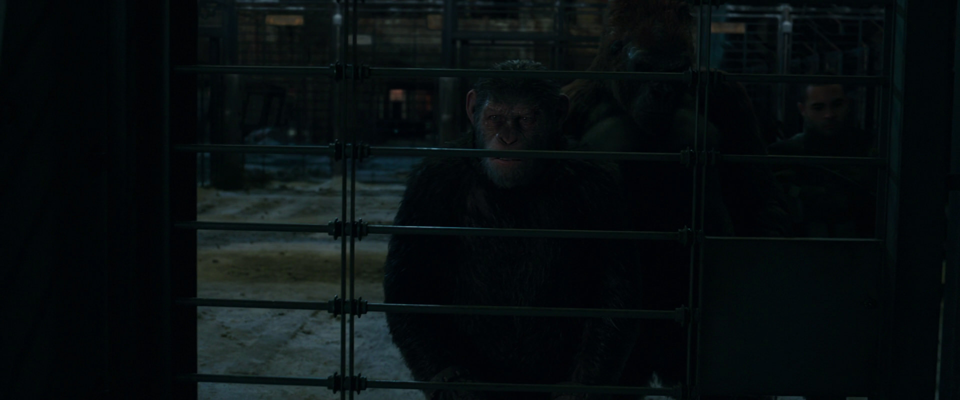 War for the Planet of the Apes (2017) HD screenshot 7619