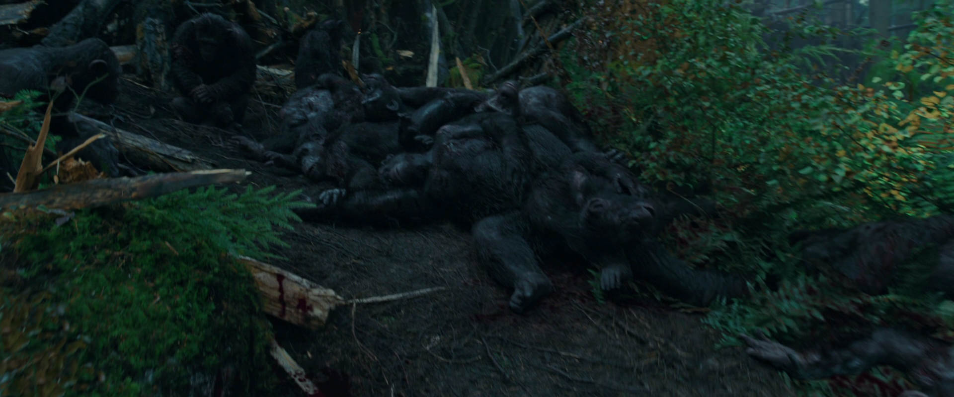 War for the Planet of the Apes (2017) screencap 762