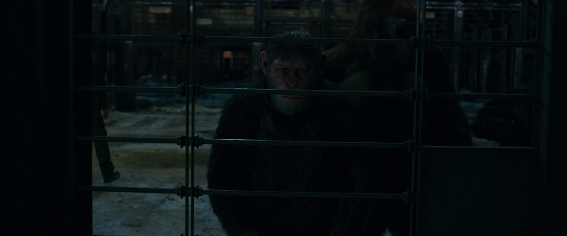 War for the Planet of the Apes (2017) screencap 7620